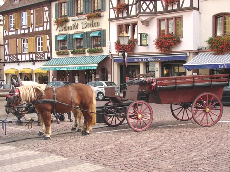 Obernai - Place du march - Photo Bertheville - Gite en Alsace